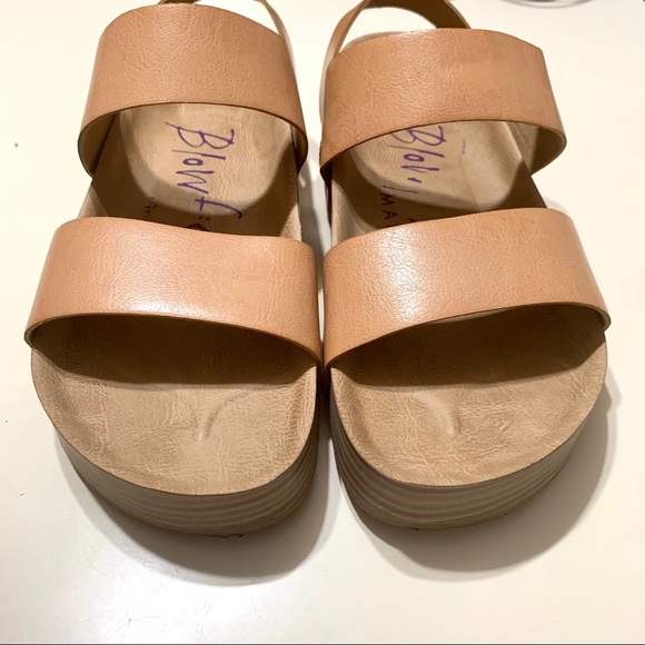 🐡 Blowfish 🐡 - Picture 5 of 7